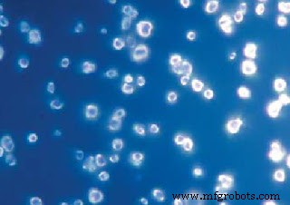 纳米金刚石：生物医学与量子应用的超精准磁传感器