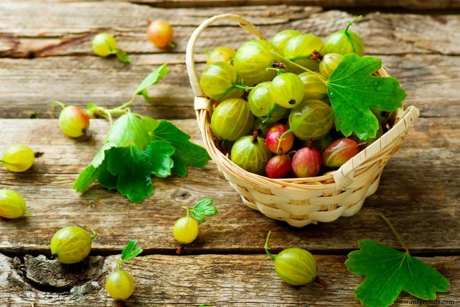 有机印度醋栗（Amla）粉的 11 大循证健康益处