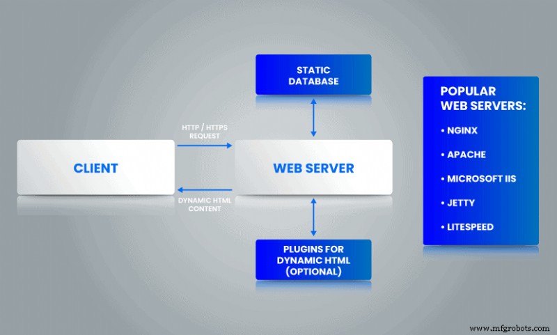 Web 服务器 vs 应用服务器：核心差异、选型指南与混合部署最佳实践